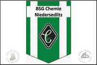 BSG Chemie Niedersedlitz Wimpel alt