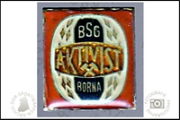 BSG Aktivist Borna Pin variante