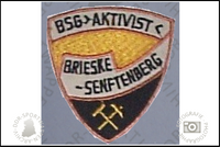 BSG Aktivist Brieske-Senftenberg Aufn&auml;her alt Varainte