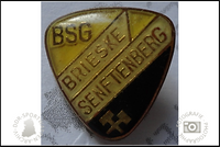 BSG Aktivist Brieske-Senftenberg Pin