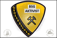 BSG Aktivist Grossr&auml;schen Pin Variante