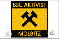 BSG Aktivist Molbitz Aufn&auml;her