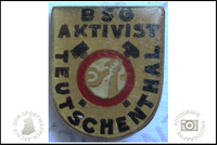 BSG Aktivist Teutschenthal Pin