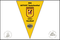 BSG Aktivist Teutschenthal Wimpel Sektion Handball