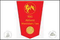 BSG Aktivist Wansleben Wimpel Sektion Fussball