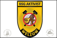 BSG Aktivist Welzow Pin Variante