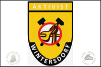 BSG Aktivist Wintersdorf Pin Variante