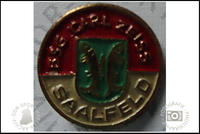 BSG Carl-Zeiss Saalfeld Pin