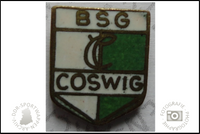 BSG Chemie Coswig Pin neu
