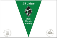 BSG Chemie Coswig Wimpel 25 jahre