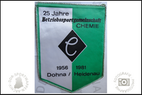 BSG Chemie Dohna Heidenau Wimpel Jubil&auml;um 25 jahre