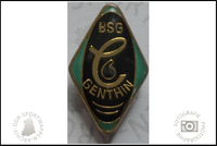 BSG Chemie Genthin Pin