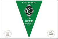 BSG Chemie Premnitz Wimpel alt