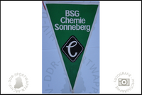 BSG Chemie Sonneberg Wimpel