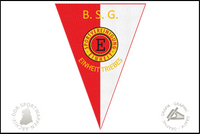 BSG Einheit Triebes Wimpel alt
