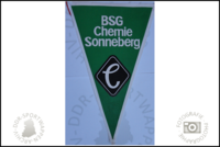 BSG Chemie Sonneberg Wimpel