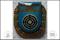 DSV Pin